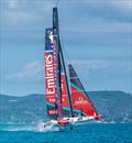 Emirates Team NZ - two boat training - Auckland - November 20, 2025