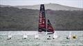 Emirates Team NZ and Optimists - AC40 - Waitemata Harbour - December 15, 2025