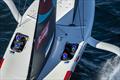 &copy; Ricardo Pinto / America's Cup