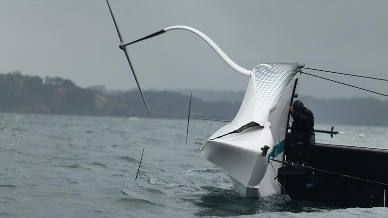 Emirates Team New Zealand - AC40 - Waitemata Harbour - Auckland - November 21, 2022 photo copyright Adam Mustill / America's Cup taken at Royal New Zealand Yacht Squadron and featuring the AC40 class