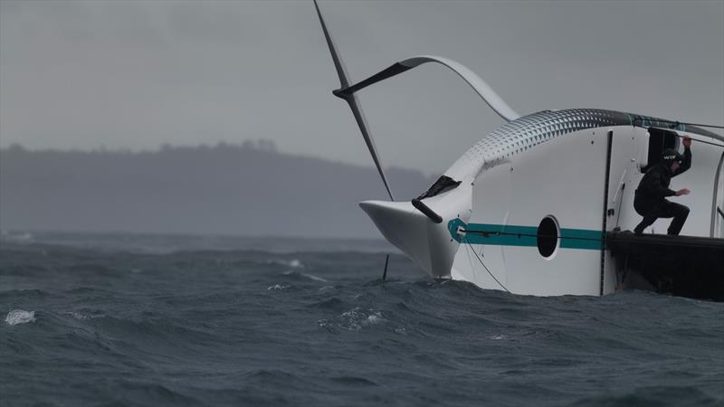 Emirates Team New Zealand - AC40 - Waitemata Harbour - Auckland - November 21, 2022 photo copyright Adam Mustill / America's Cup taken at Royal New Zealand Yacht Squadron and featuring the AC40 class