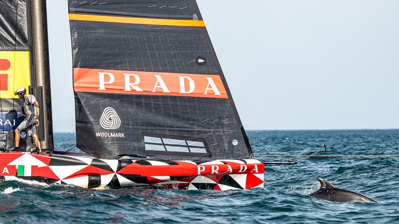 Luna Rossa Prada Pirelli - LEQ12  - Day 79 - July 24, 2023 - Barcelona photo copyright Ivo Rovira / America's Cup taken at Circolo della Vela Sicilia and featuring the AC40 class