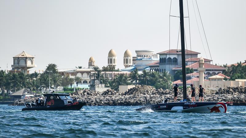 Alinghi Red Bull Racing - AC40 - Day 55 - Jeddah - November 5, 2023 photo copyright Alex Carabi / America's Cup taken at Jeddah Yacht Club and featuring the AC40 class