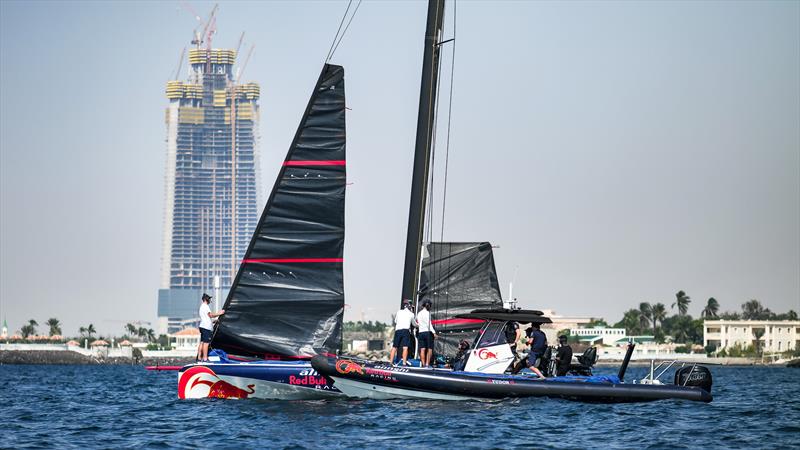 Alinghi Red Bull Racing - AC40 - Day 55 - Jeddah - November 5, 2023 photo copyright Alex Carabi / America's Cup taken at Jeddah Yacht Club and featuring the AC40 class