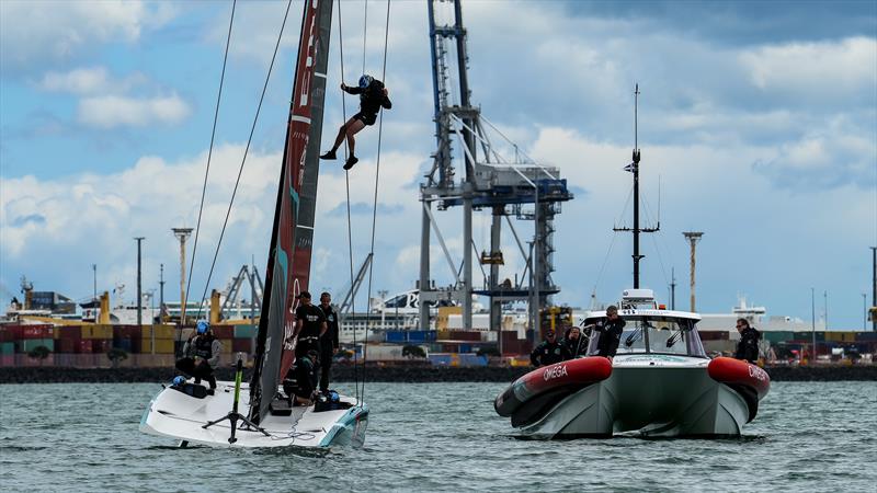 Emirates Team New Zealand  - AC40/LEQ12 -  Auckland - November 7, 2023 photo copyright Sam Thom / America's Cup taken at Royal New Zealand Yacht Squadron and featuring the AC40 class