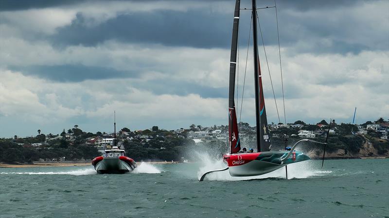 Emirates Team New Zealand - AC40 - Day 42 - Auckland - November 14, 2023 - photo © Sam Thom/America's Cup