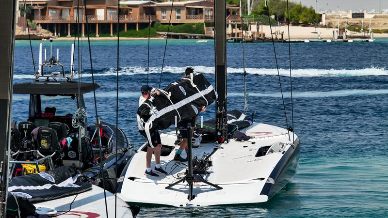 Alinghi Red Bull Racing - AC40 - Day 76 - February 13, 2024 - Jeddah, Saudi Arabia photo copyright Alex Carabi / America's Cup taken at Société Nautique de Genève and featuring the AC40 class