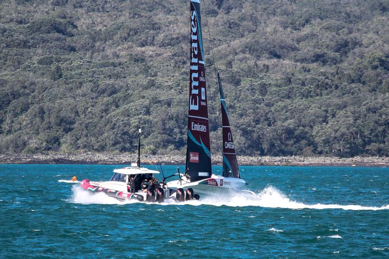 Emirates Team New Zealand - AC40 - Waitemata Harbour - November 3, 2025 - photo © Richard Gladwell - Sail-World.com/nz