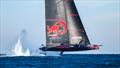 © Alex Carabi / America's Cup Alinghi Red Bull Racing - AC75 - January 30, 2023 - Barcelona © Alex Carabi / America's Cup
