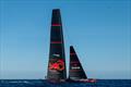 © Paul Todd/America's Cup