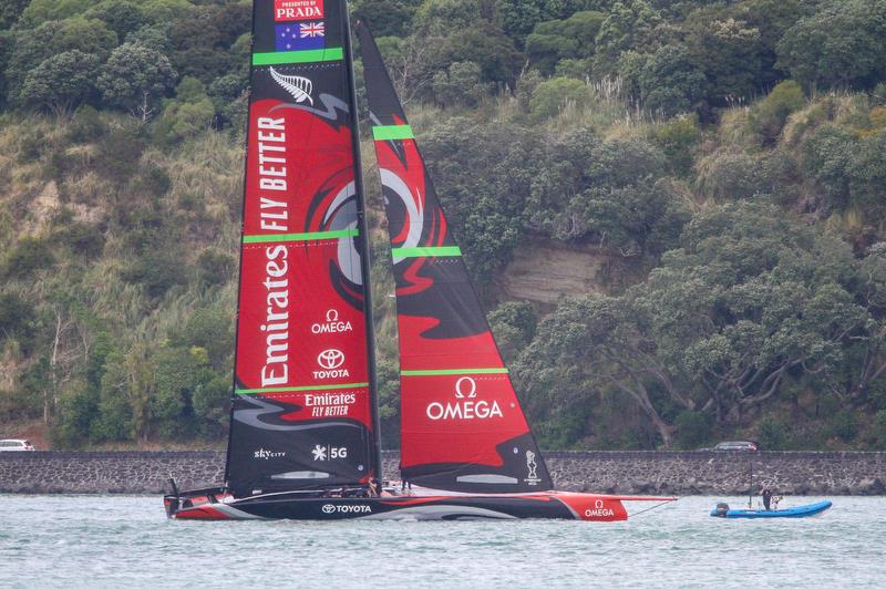 Emirates Team New Zealand gets amongst the 49ers ahead of the 2019 Hyundai World Championship - Waitemata Harbour - November 19, 2019 - photo © Richard Gladwell / Sail-World.com