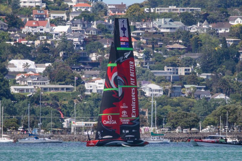 - Te Aihe - Waitemata Harbour - December 10, 2019 - photo © Richard Gladwell / Sail-World.com