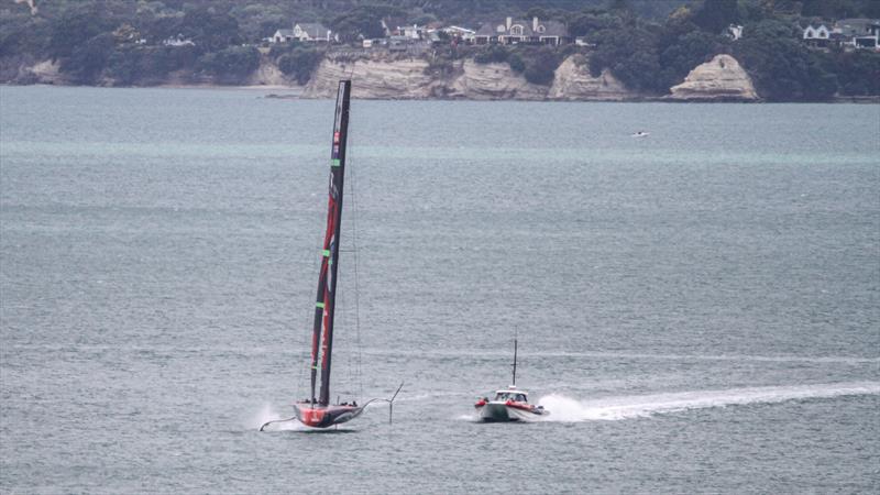 Emirates Team New Zealand in The Paddock - January 8, 2020 - photo © Richard Gladwell / Sail-World.com