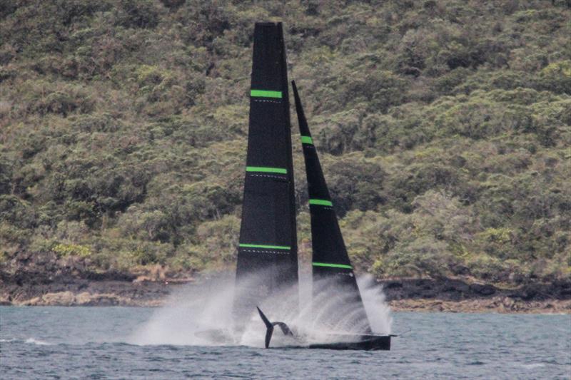 Te Kahu - first sail - Emirates Team New Zealand test AC75 - Waitemata Harbour - January 28, 2020 photo copyright Richard Gladwell / Sail-World.com taken at Royal New Zealand Yacht Squadron and featuring the AC75 class