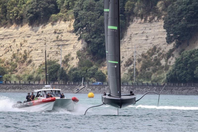 Intent looks from a packed chase boat indicate that Te Kahu is more than just a training boat for Emirates Team New Zealand - Waitemata Harbour - January 29, 2020 - photo © Richard Gladwell / Sail-World.com