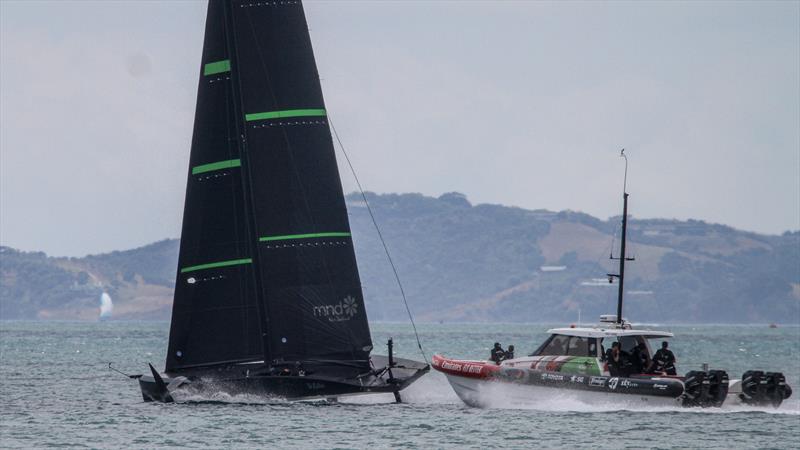 Te Kahu - Emirates Team New Zealand test AC75 - Waitemata Harbour - January 29, 2020 photo copyright Richard Gladwell / Sail-World.com taken at Royal New Zealand Yacht Squadron and featuring the AC75 class