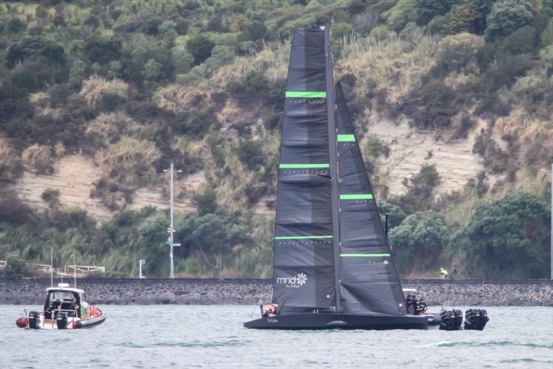 Te Kahu - Emirates Team New Zealand test AC75 - Waitemata Harbour - January 29, 2020 - photo © Richard Gladwell / Sail-World.com