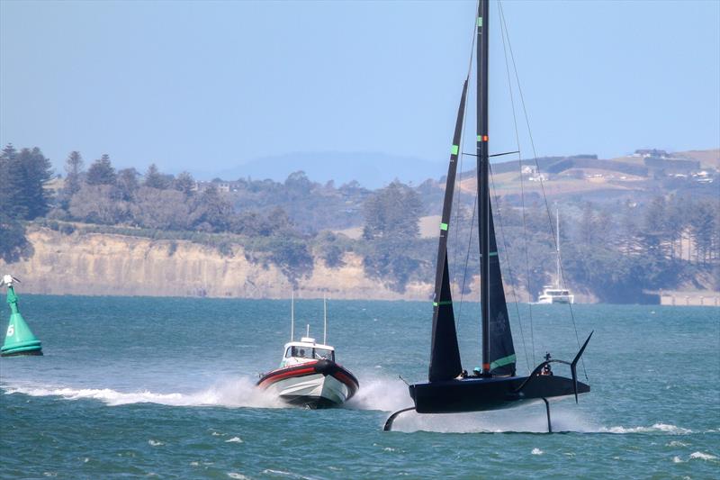 Foiling high - Te Kahu - Emirates Team NZ's test boat - Waitemata Harbour - February 11, 2020 - photo © Richard Gladwell / Sail-World.com