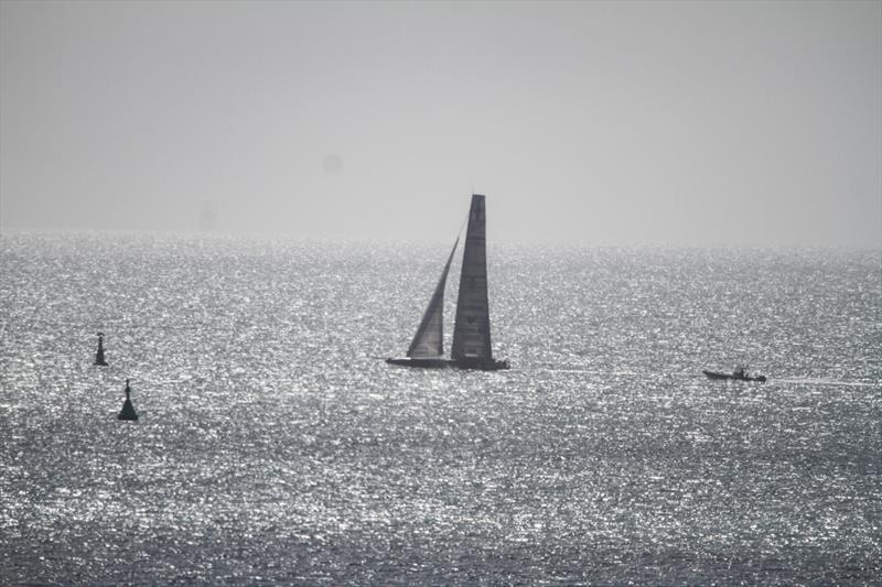 American Magic - Waitemata Harbour - August 23, - 36th America's Cup photo copyright Richard Gladwell / Sail-World.com taken at New York Yacht Club and featuring the AC75 class