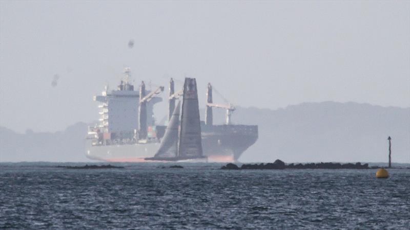 American Magic foils across the bow of a container ship - Waitemata Harbour - August 22, 2020 - 36th America's Cup - photo © Richard Gladwell / Sail-World.com