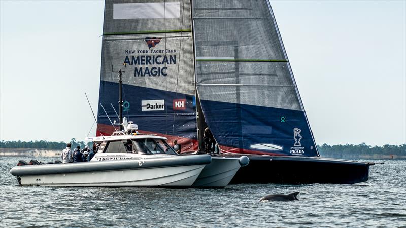 American Magic -  AC75 - November 18, 2022 - Pensacola, Fl photo copyright Paul Todd/America's Cup taken at New York Yacht Club and featuring the AC75 class