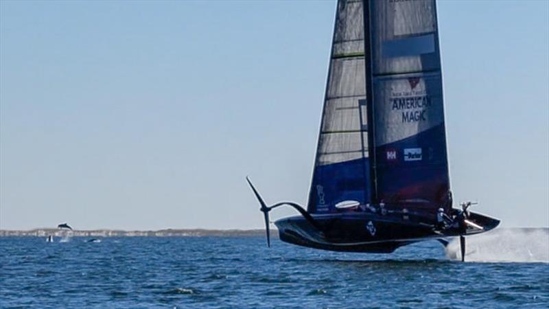 A school of dolphins play ahead of American Magic -  AC75 - November 18, 2022 - Pensacola, Fl photo copyright AC37 Joint Recon taken at New York Yacht Club and featuring the AC75 class