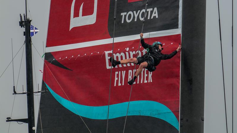 Emirates Team New Zealand- AC75 - Day 12 - April 29, 2024 - Auckland - photo © Sam Thom / America's Cup