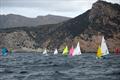 &copy; CVPA / Luca Monzani