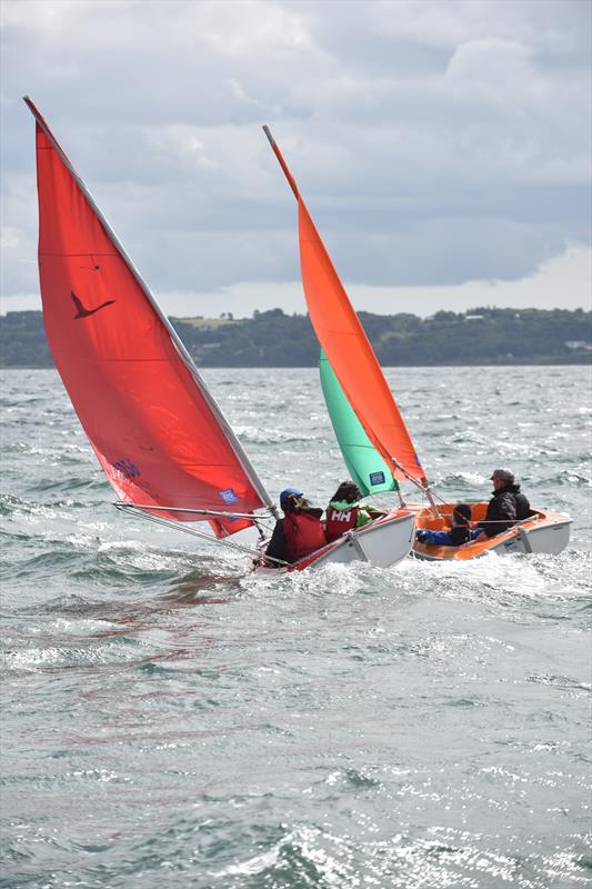 Hansa 303 Irish Championship at Carrickfergus photo copyright Nigel Thompson taken at Carrickfergus Sailing Club and featuring the Hansa class