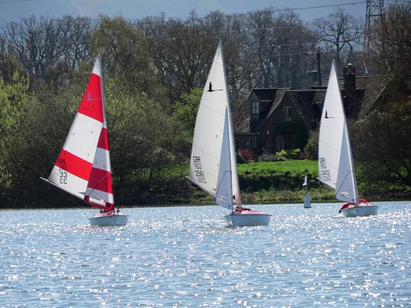 Liberys during the National Hansa TT Series Round 1 at Frampton on Severn photo copyright David Greenfield taken at Frampton on Severn Sailing Club and featuring the Hansa class