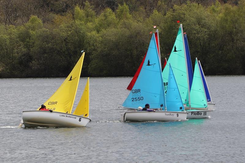 2021 New Forest Hansa TT - the five fastest 303s in close competition photo copyright Chris Wales taken at Spinnaker Sailing Club and featuring the Hansa class