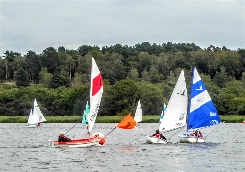 Close racing in the 2-3 Fleet during the Hansa TT at Frensham - photo © Tony Machen