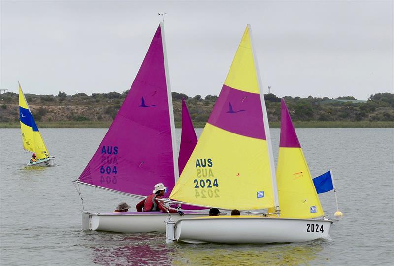 Racing included four short races for Sailability - Goolwa Regatta Week 2018 - photo © Cass Schlimbach