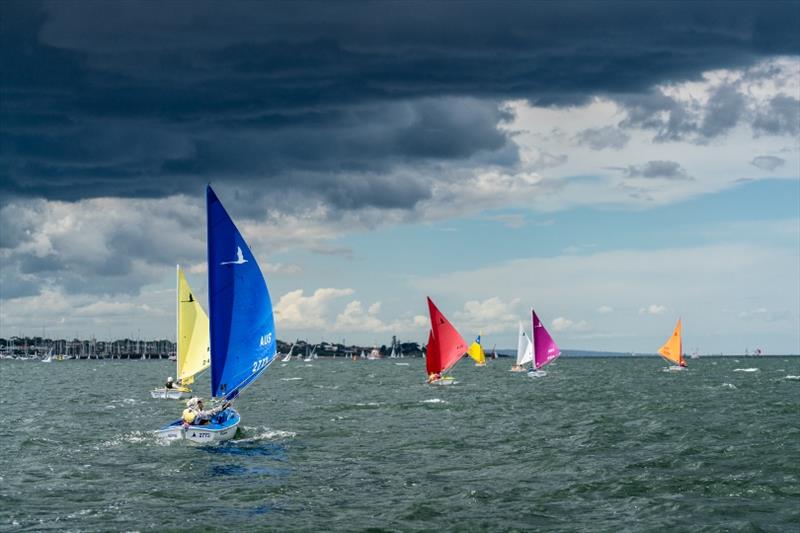 Hansa 303 fleet - 2018 Sail Melbourne International, Day 4 photo copyright Beau Outteridge taken at Royal Brighton Yacht Club and featuring the Hansa class