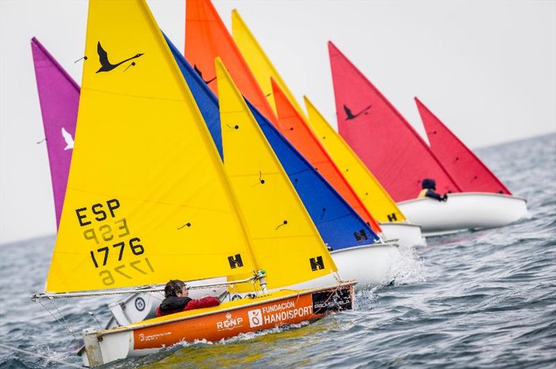 2018 Sail Racing PalmaVela photo copyright María Muiña taken at Real Club Náutico de Palma and featuring the Hansa class