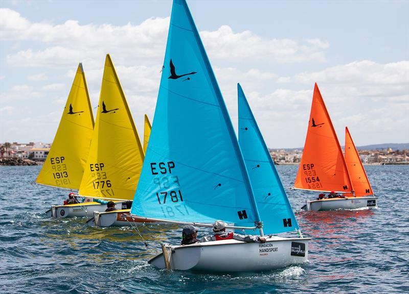 Hansa 303 Double-handle fleet - 16th Sail Racing PalmaVela - Final Day  photo copyright Nico Martinez taken at Real Club Náutico de Palma and featuring the Hansa class