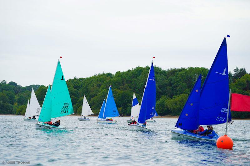 Mixed 2.3 and 303 fleet - Hansa UK National Championships at Carsington photo copyright Rosie Thomas taken at Carsington Sailing Club and featuring the Hansa class