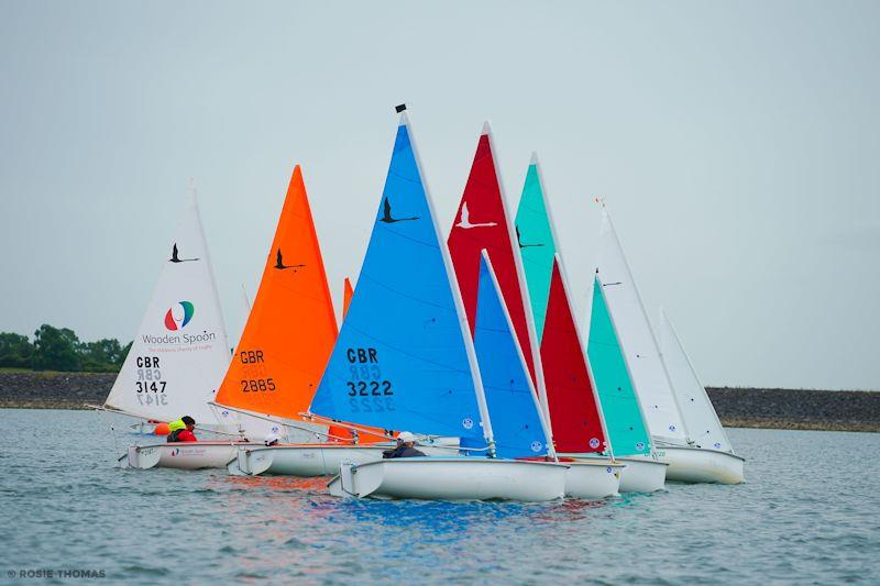 303 one-person class start - Hansa UK National Championships at Carsington photo copyright Rosie Thomas taken at Carsington Sailing Club and featuring the Hansa class