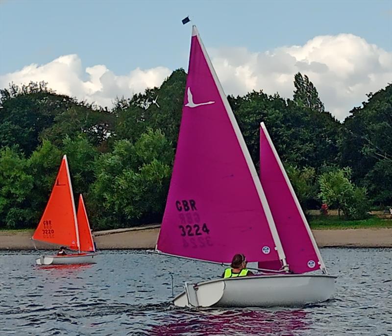 Birmingham Hansa TT - Debre Pennington - 4th in the 303 one-person Class photo copyright Phil Reeves taken at Midland Sailing Club and featuring the Hansa class