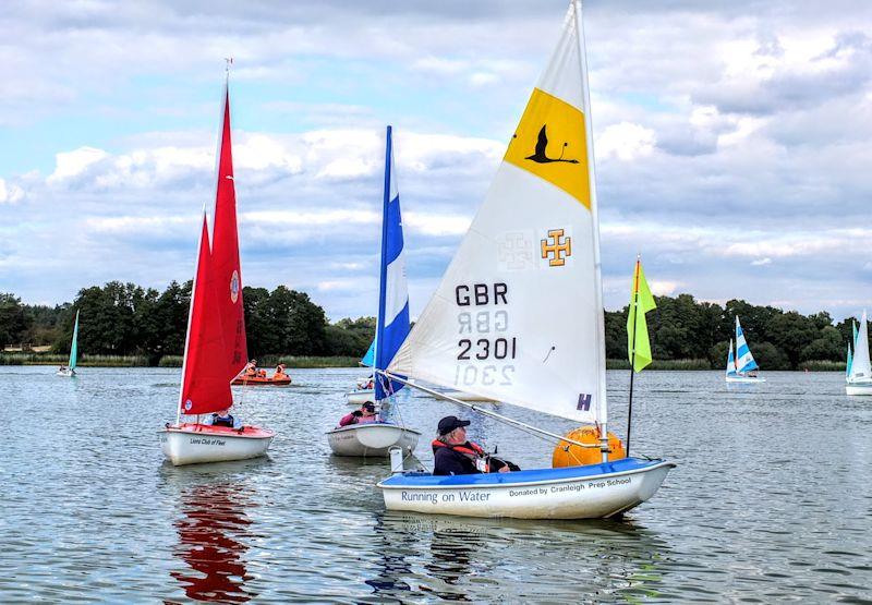 Frensham Hansa TT - 2.3 class close racing photo copyright Jules Cheeseman taken at Frensham Pond Sailing Club and featuring the Hansa class