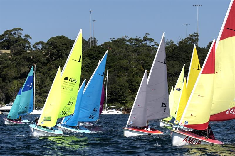 The Hansa 303 was sailed in one and two-person divisions photo copyright Marg Fraser-Martin taken at Middle Harbour Yacht Club and featuring the Hansa class