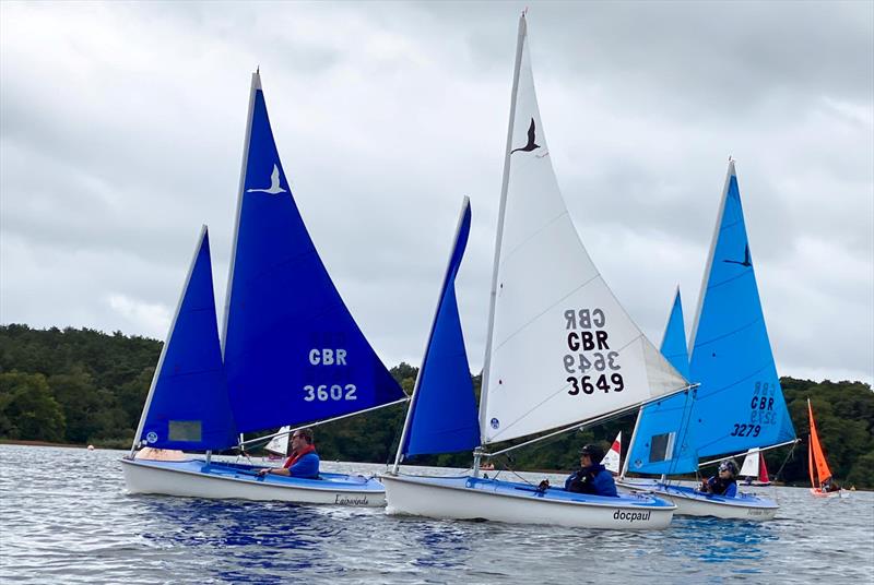 Richard Smallwood trophy at Frensham photo copyright Grahame Pembleton taken at Frensham Pond Sailability and featuring the Hansa class