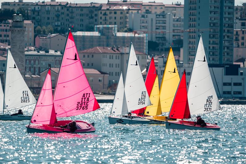 Barcolana57 presented by Generali - Day 2 photo copyright Barcolana taken at  and featuring the Hansa class