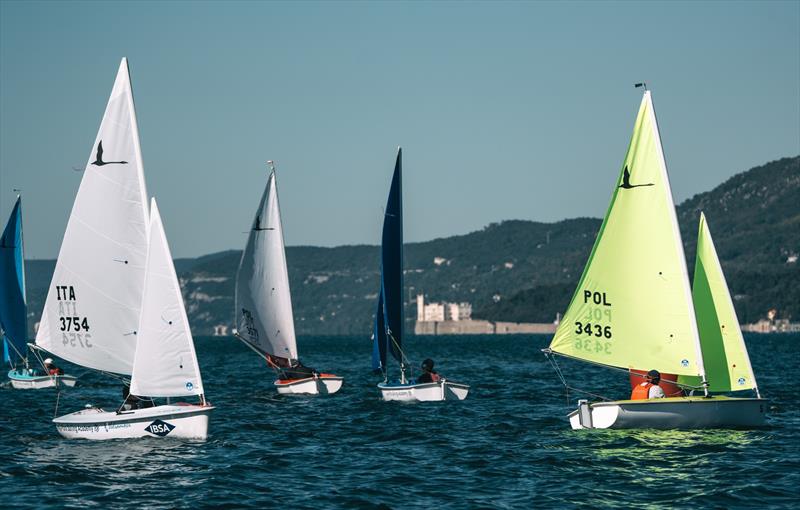 Barcolana Para Sailing - Eurosaf Inclusitivy Event - photo © Barcolana