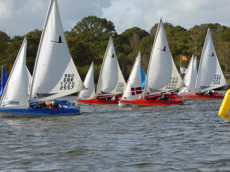 Frensham Göleti Seyir Edilebilirlik Hansa TT - fotoğraf © Clive Eplett