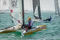 If there were and award for Concours D'Elegance, Massimiliano Bracci wins it - A-Class Cat European Championships at Riccione Day 2 © Gordon Upton / www.guppypix.com