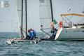 Like naughty shoolboys and girls, the boats who were too far from the line as the sequence started sneak around the stern of the committee boat, 5 mins late - A-Class Cat European Championships at Riccione Day 3 © Gordon Upton / www.guppypix.com