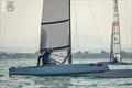 That Old Grey Wolf, Scott Anderson AUS 31, is the current Classic regatta leader - A-Class Cat European Championships at Riccione Day 3 © Gordon Upton / www.guppypix.com