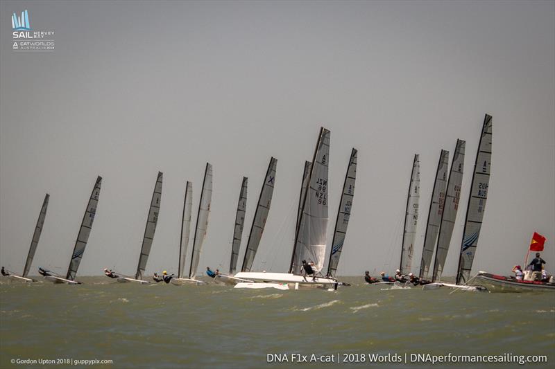 A Cat World Championship 2018 day 4 - photo © Gordon Upton / www.guppypix.com