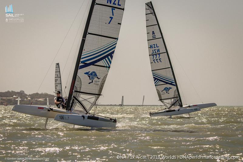 A Cat World Championship 2018 day 4 - photo © Gordon Upton / www.guppypix.com